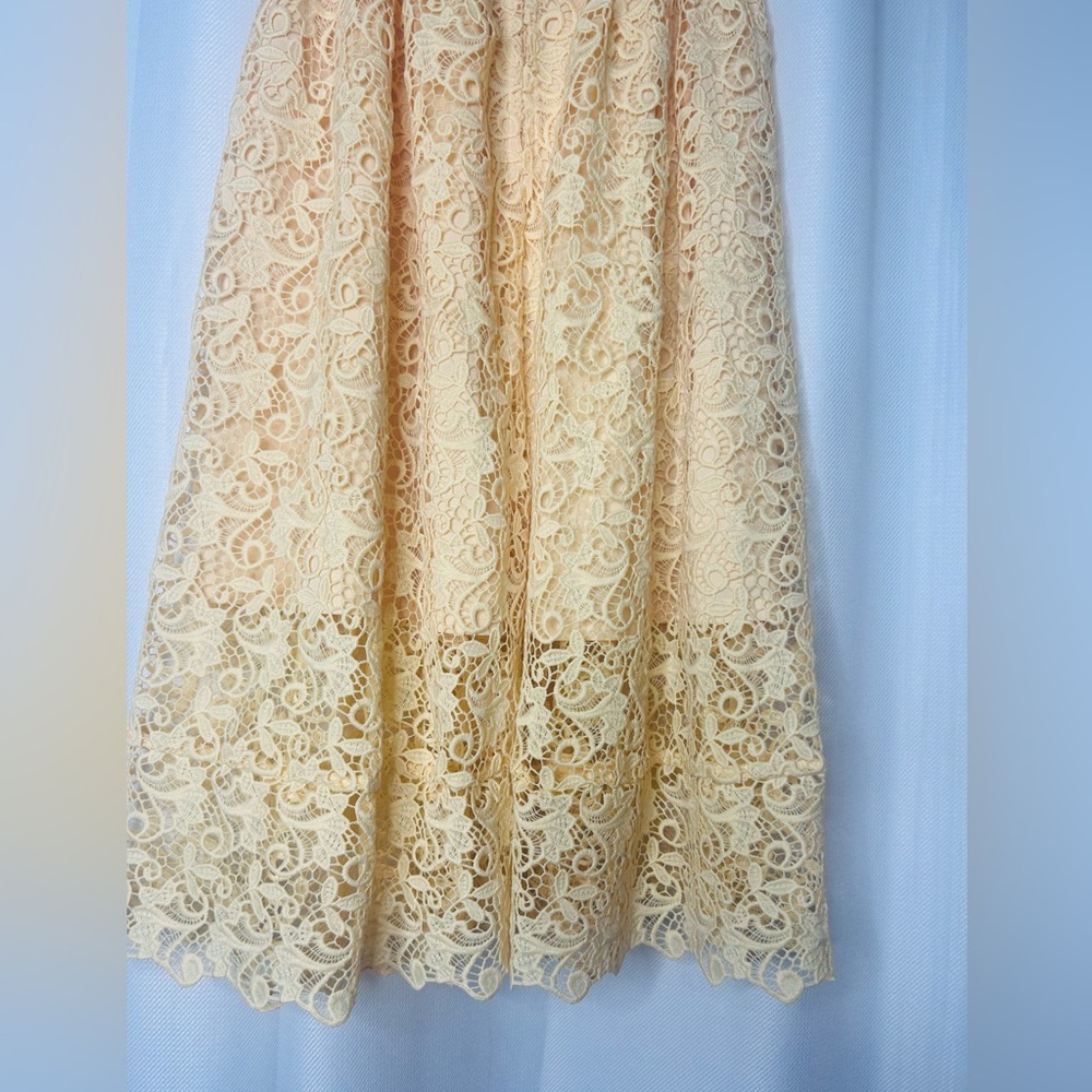 H&M Lace Midi skirt - Picture 6 of 12